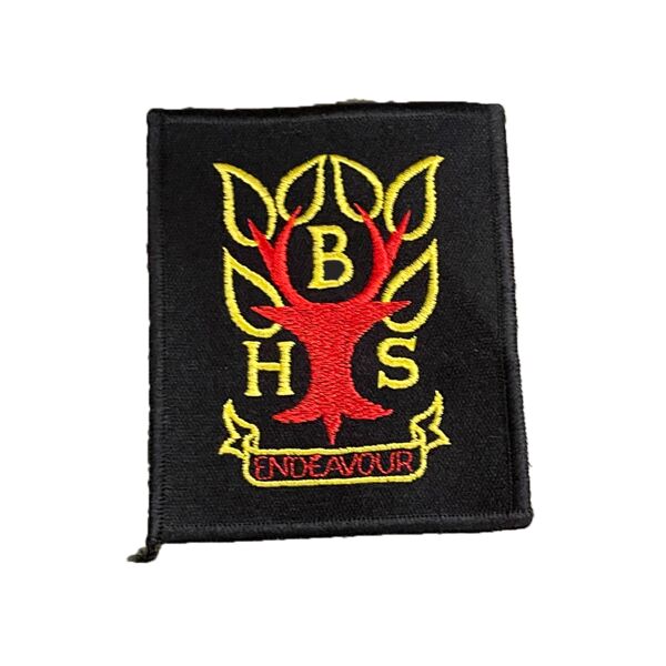 School Patches Thumbnail